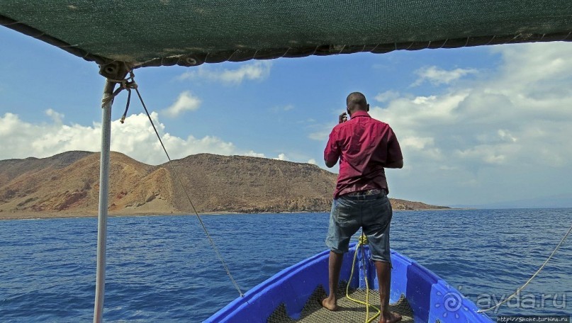 Обычная неудача — попытка наблюдения за китовыми акулами