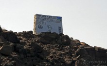 Обычная неудача — попытка наблюдения за китовыми акулами