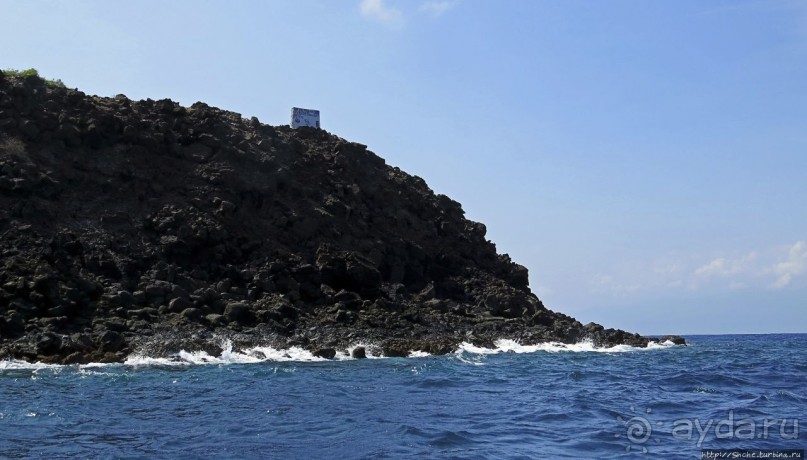 Обычная неудача — попытка наблюдения за китовыми акулами