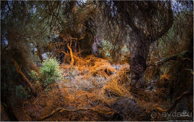 С севера на юг... Новая Зеландия с "Паганелями"