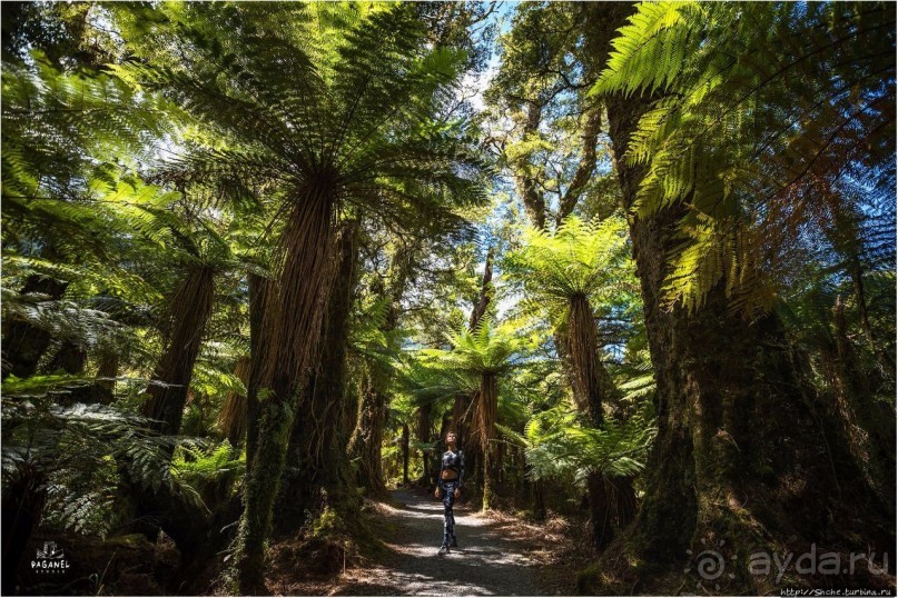 С севера на юг... Новая Зеландия с "Паганелями"