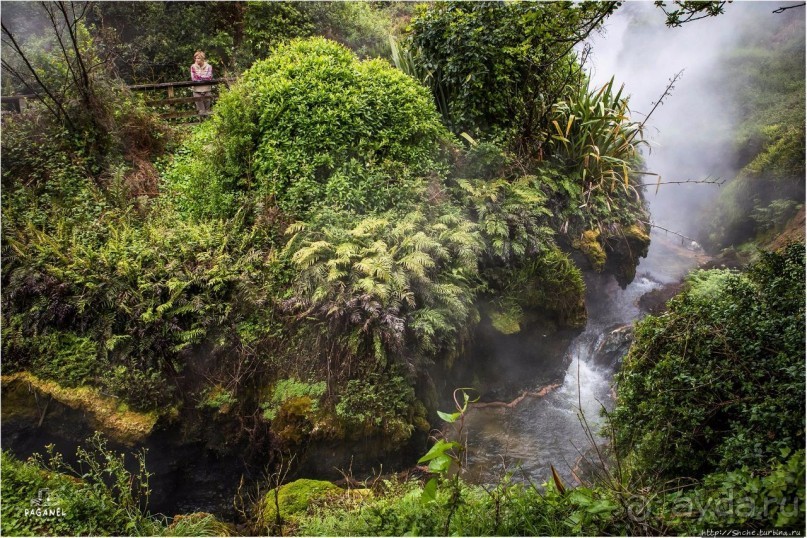 С севера на юг... Новая Зеландия с "Паганелями"