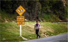 С севера на юг... Новая Зеландия с "Паганелями"