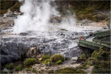 С севера на юг... Новая Зеландия с "Паганелями"