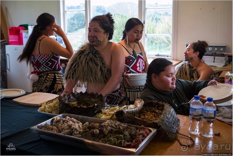 С севера на юг... Новая Зеландия с "Паганелями"