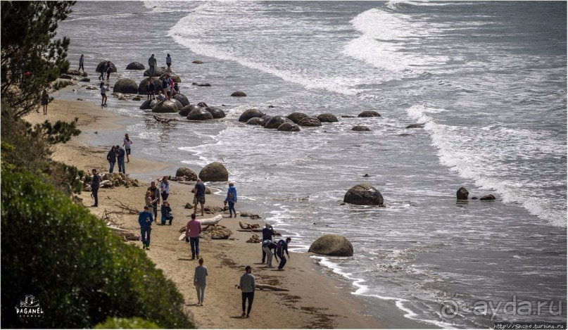 С севера на юг... Новая Зеландия с "Паганелями"