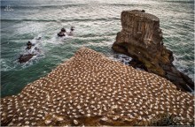 С севера на юг... Новая Зеландия с "Паганелями"