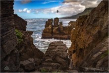 С севера на юг... Новая Зеландия с "Паганелями"