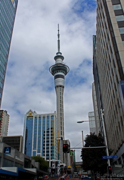 С севера на юг... Новая Зеландия с "Паганелями"