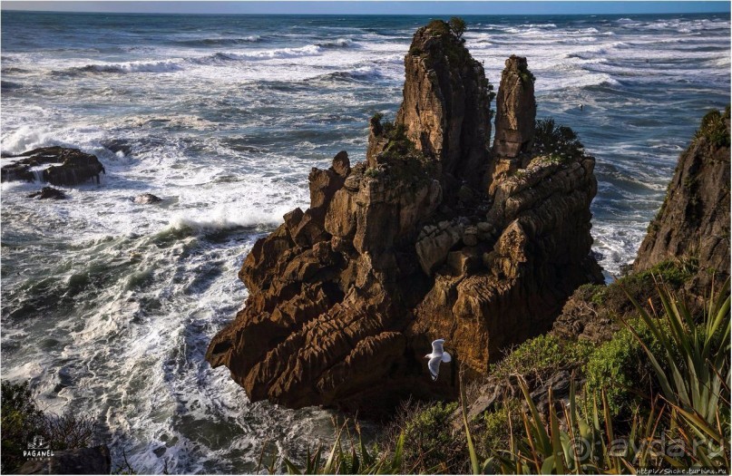 С севера на юг... Новая Зеландия с "Паганелями"