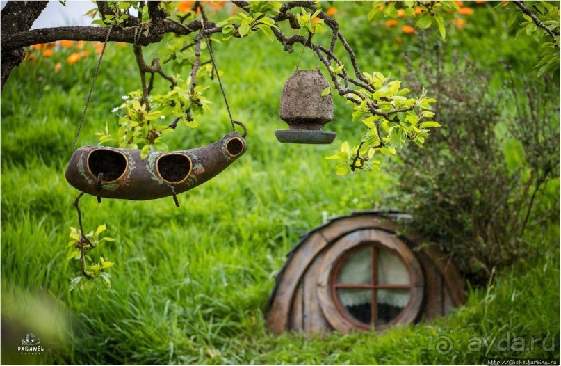 С севера на юг... Новая Зеландия с "Паганелями"