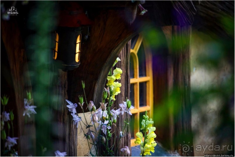 С севера на юг... Новая Зеландия с "Паганелями"