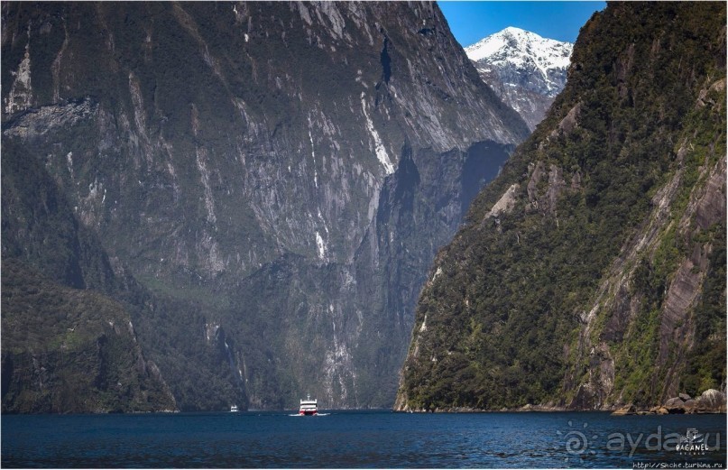 С севера на юг... Новая Зеландия с "Паганелями"