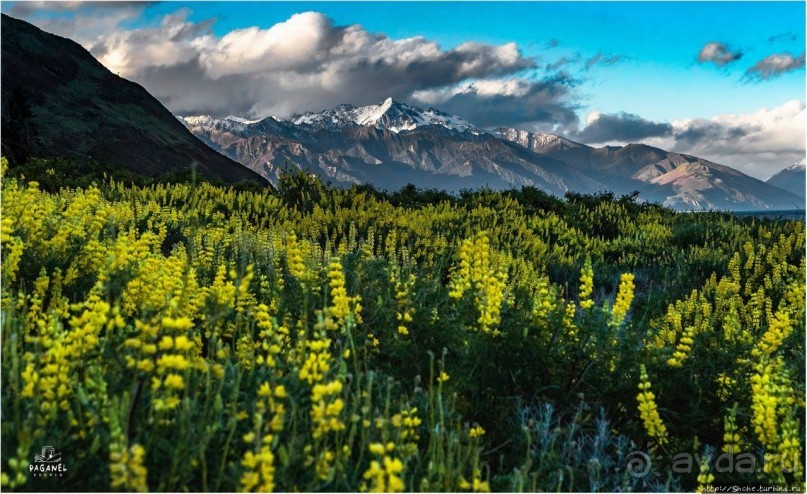 С севера на юг... Новая Зеландия с "Паганелями"
