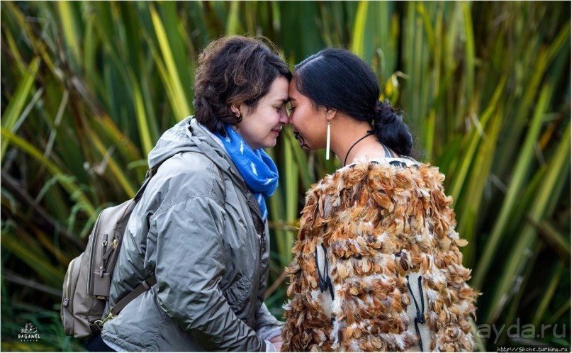 С севера на юг... Новая Зеландия с "Паганелями"