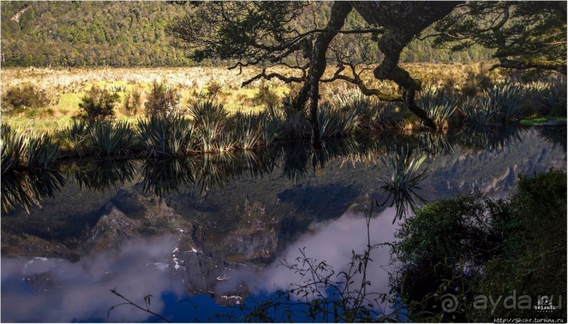 С севера на юг... Новая Зеландия с "Паганелями"