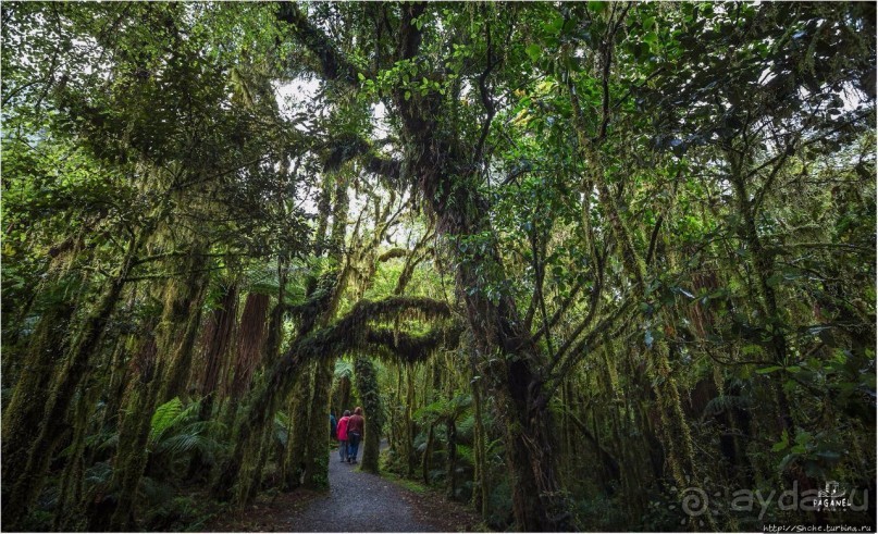 С севера на юг... Новая Зеландия с "Паганелями"