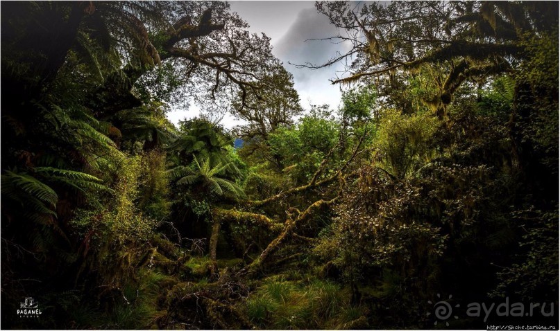 С севера на юг... Новая Зеландия с "Паганелями"