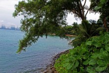 Остров, на острове остров (южная точка Континентальной Азии)