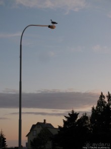 Stykkisholmur — ворота к Западным Фьордам и островам Hagur