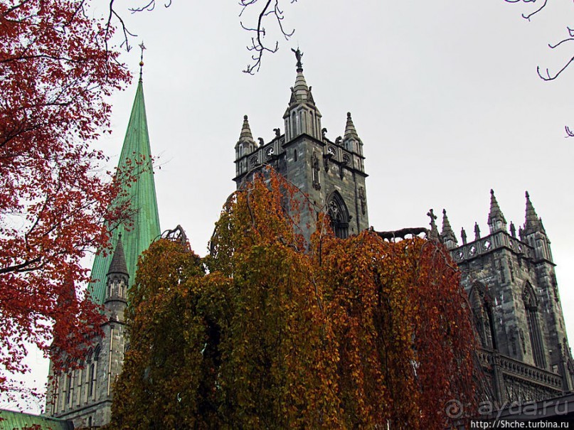 "Кажется, ночь начинается..." Вечер, сумерки, Тронхейм