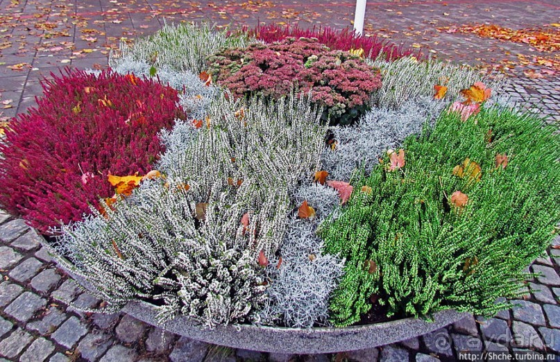 "Кажется, ночь начинается..." Вечер, сумерки, Тронхейм