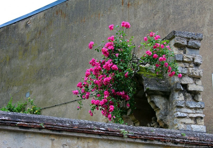 Бурж — любопытные факты на фоне старинных улиц