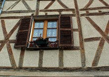 Бурж — любопытные факты на фоне старинных улиц