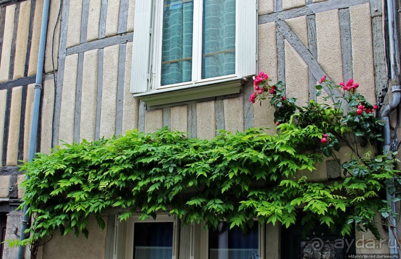 Бурж — любопытные факты на фоне старинных улиц