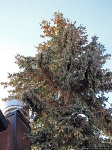 "Здесь самый чистый снег"; Парк-Сити -спутник Солт-Лэйк-сити