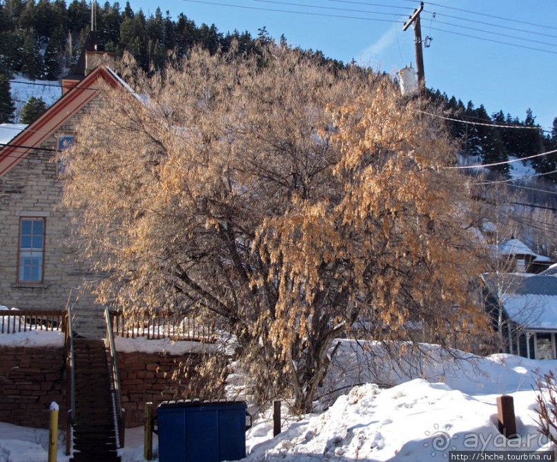 "Здесь самый чистый снег"; Парк-Сити -спутник Солт-Лэйк-сити