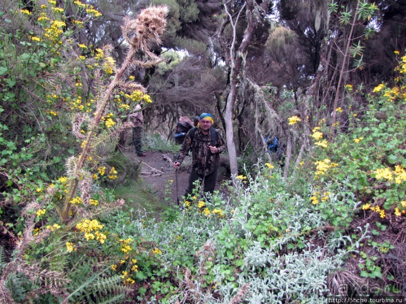 Природа вулкана Меру