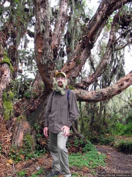 Природа вулкана Меру