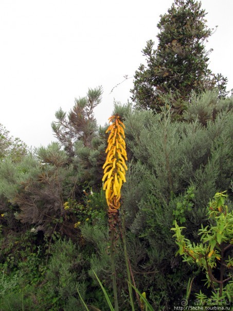 Природа вулкана Меру