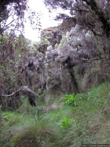 Природа вулкана Меру