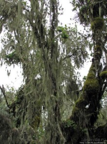 Природа вулкана Меру