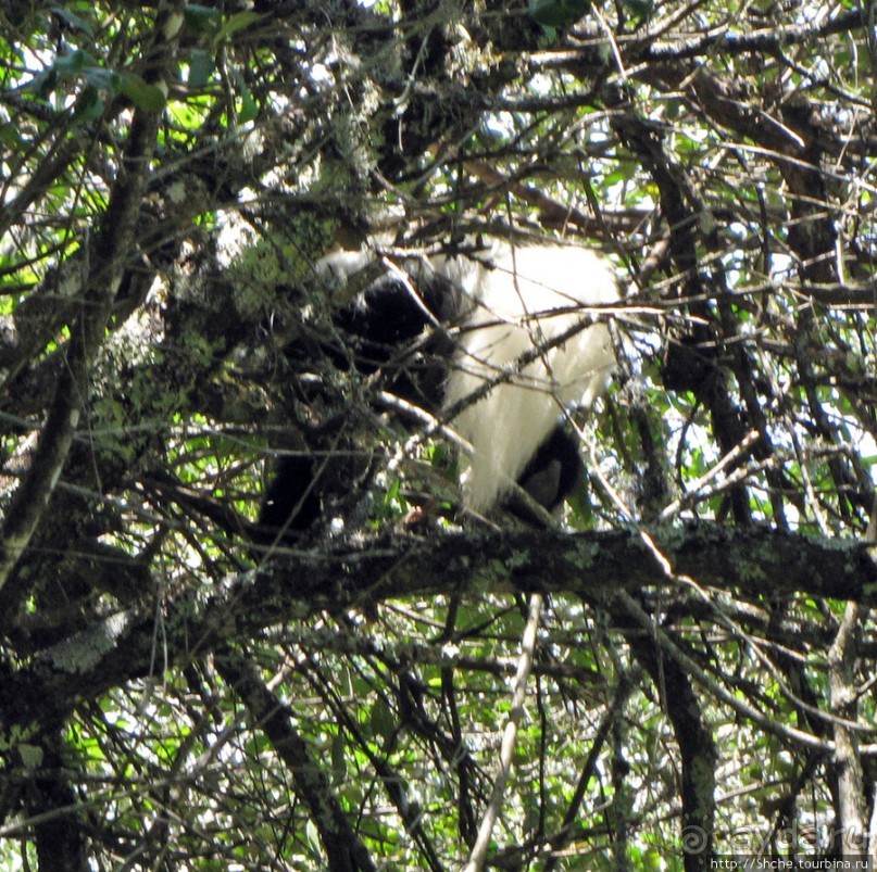 Природа вулкана Меру