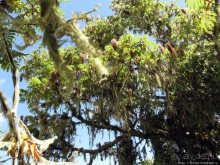 Природа вулкана Меру