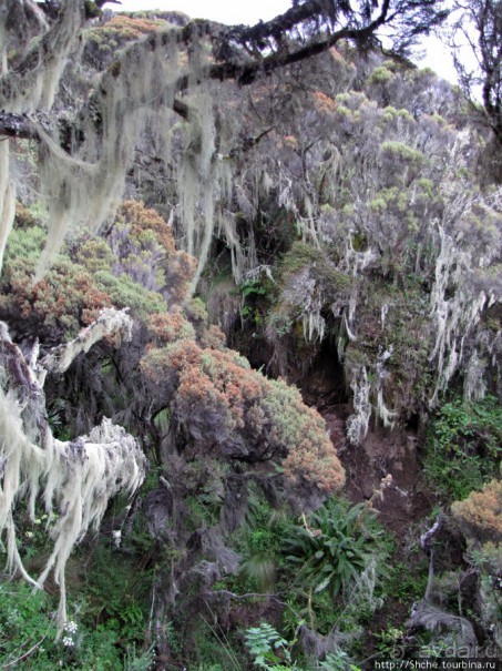 Природа вулкана Меру