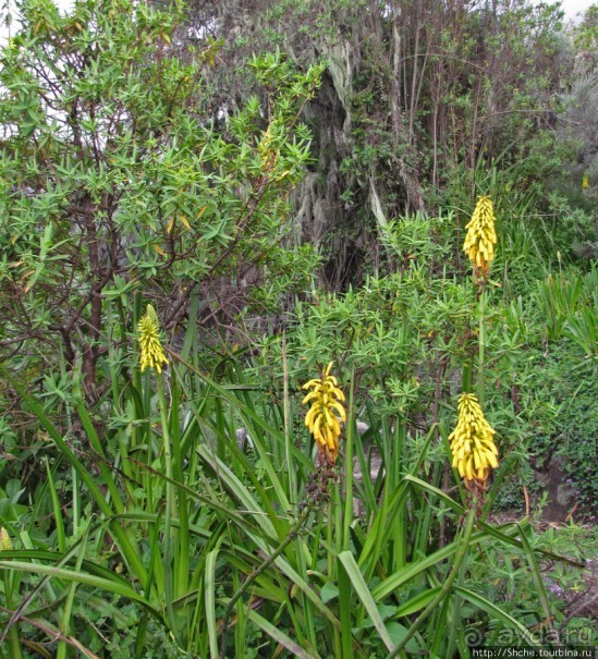 Природа вулкана Меру