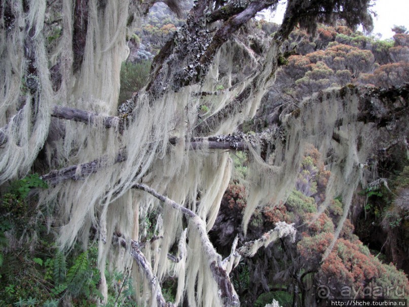 Природа вулкана Меру