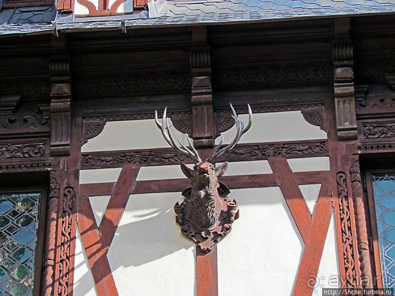 " Встречают по одежке" — внешний лоск дворца Пелеш