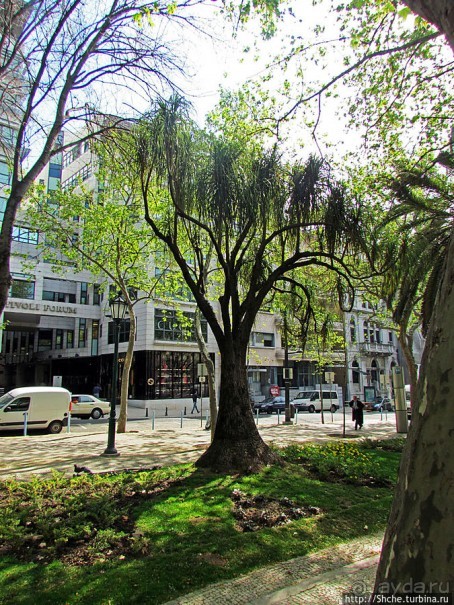 Avenida da Liberdade — гламурный бульвар в Лиссабоне