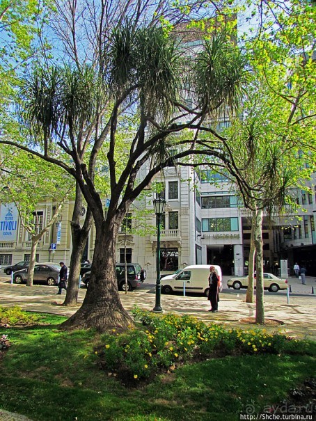 Avenida da Liberdade — гламурный бульвар в Лиссабоне