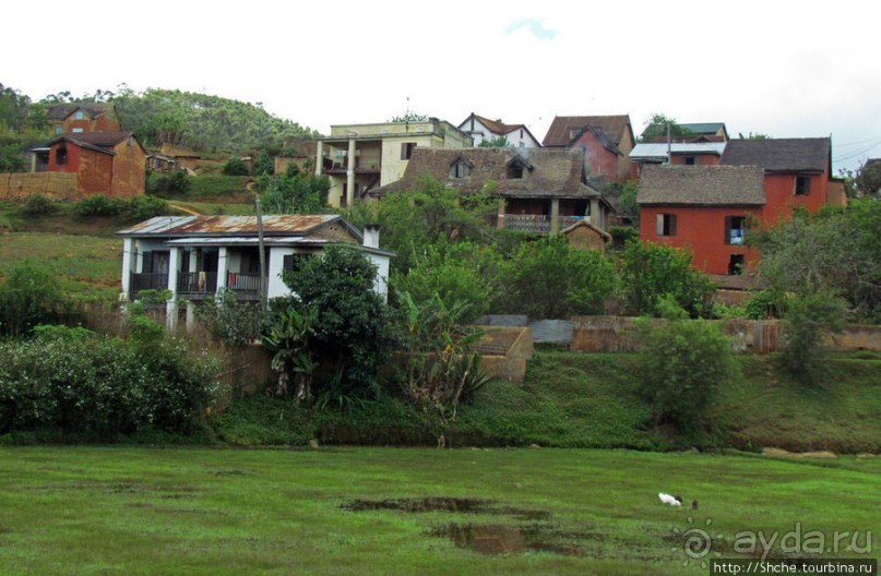 Мураманга и Мандзакандриана. Найдите отличия-Мандзакандриана