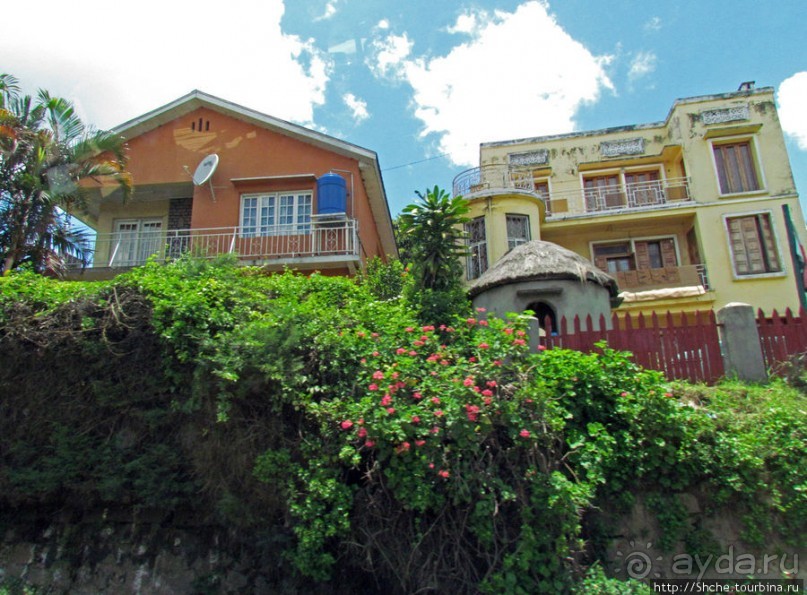 Мураманга и Мандзакандриана. Найдите отличия-Мандзакандриана