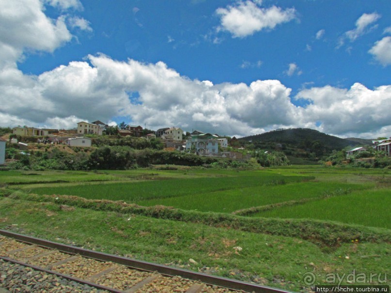 Мураманга и Мандзакандриана. Найдите отличия-Мандзакандриана