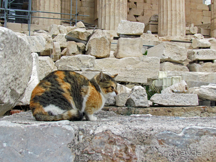 На холме Акрополь — Пантеон, вечная реставрация и остальное