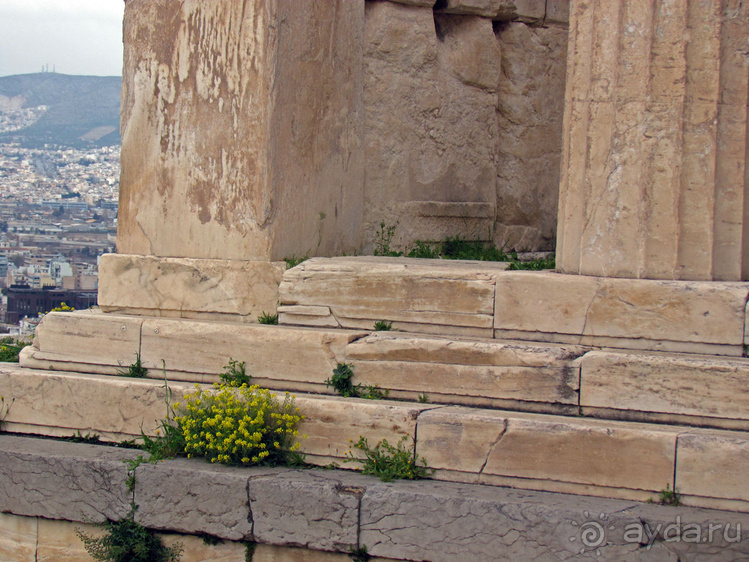 Альбом отзыва "На холме Акрополь — Пантеон, вечная реставрация и остальное"