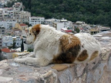 На холме Акрополь — Пантеон, вечная реставрация и остальное